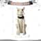 Glitzhome® 20.5" Lighted Halloween Skeleton Dog Porch Décor with Timer